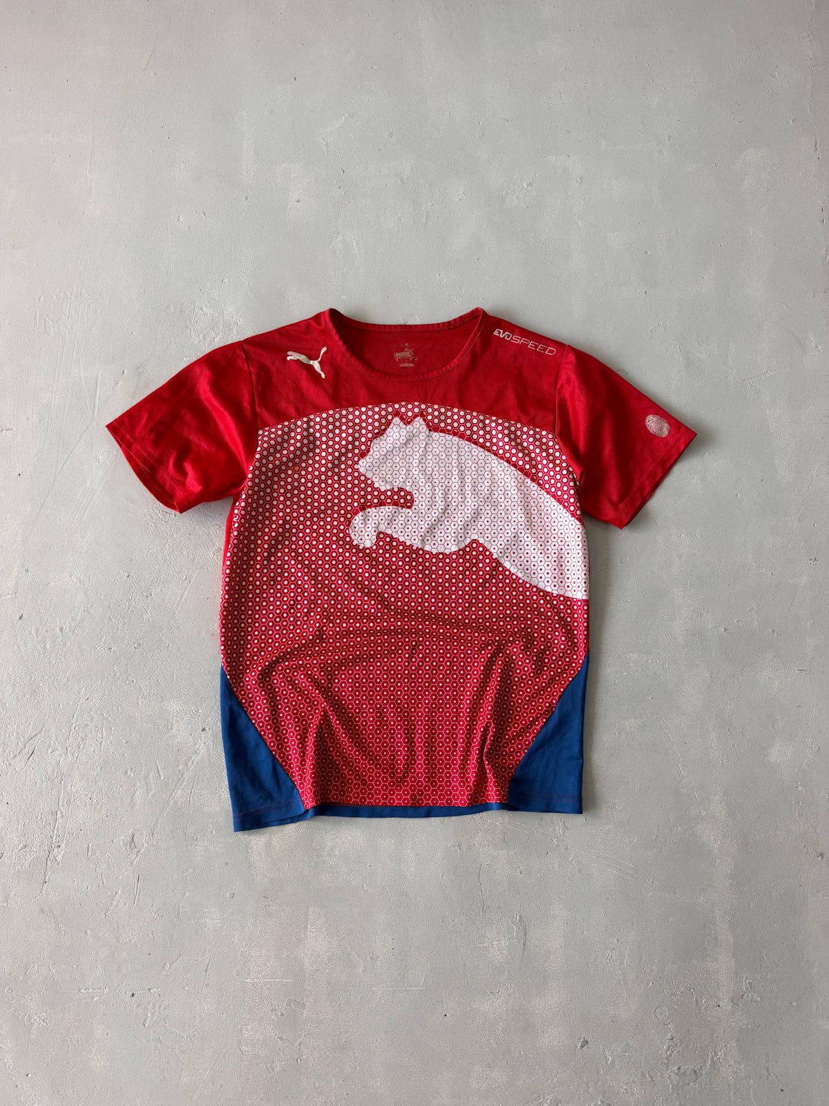 PUMA DRI FIT TEE -  M