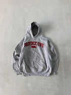 VINTAGE HEAVY HOODIE - L